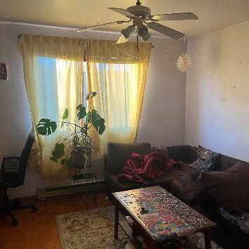 Un beau unique style de 5 1/2 presqu'a 1000pc, plein cœur sur de la promenade Masson avec une grande terrasse privée à l'arrière incluant un cabanon. - Photo 4