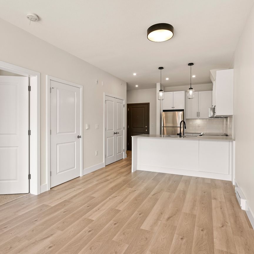 YEARLING - 201 - YE201 - Photo 1