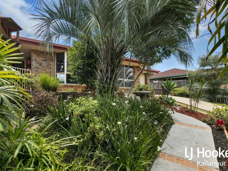 Stunning Family Home with Dual Outdoor Entertaining Areas - Photo 5