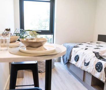 Premium Studio - Photo 5