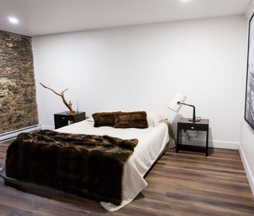 Magnifique 4½ Semi-meublé Dans Montcalm - Photo 1
