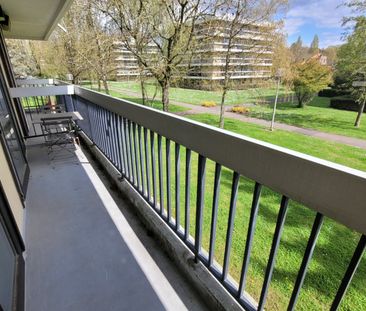 Location Appartement 1 pièce 25m² CROIX 59170 - Photo 3