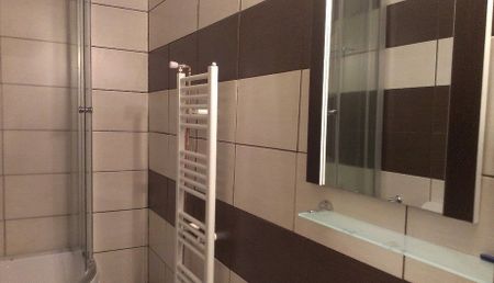 Apartment 2 bedrooms for rent Iasi Center-Theatre - Photo 5