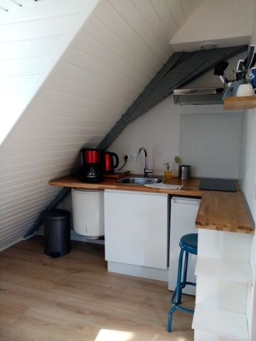 Location Appartement 1 pièce 10m² STRASBOURG 67000 - Photo 3