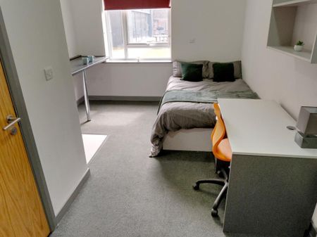 Studio to rent - Photo 5