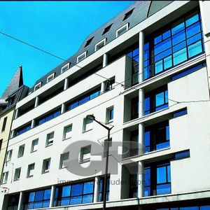 Location Appartement 1 pièce 18m² NANCY 54000 - Photo 3