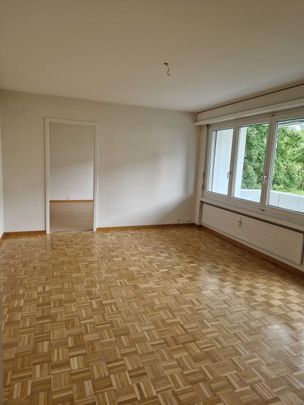 Charming 3-room apartment with balcony in quiet neighborhood - Photo 1