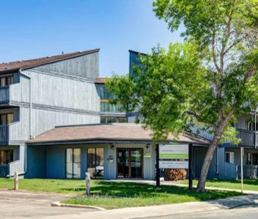 - 1 Bedroom at Lakewood Manor - Photo 6