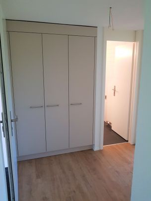 2.5 Zimmer, 53 m², EG - Foto 1