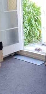 Scarce as hens teeth - Water is Included - Photo 1