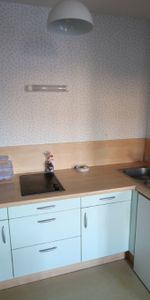 Location Appartement 1 pièce 27m² LILLE 59000 - Photo 3