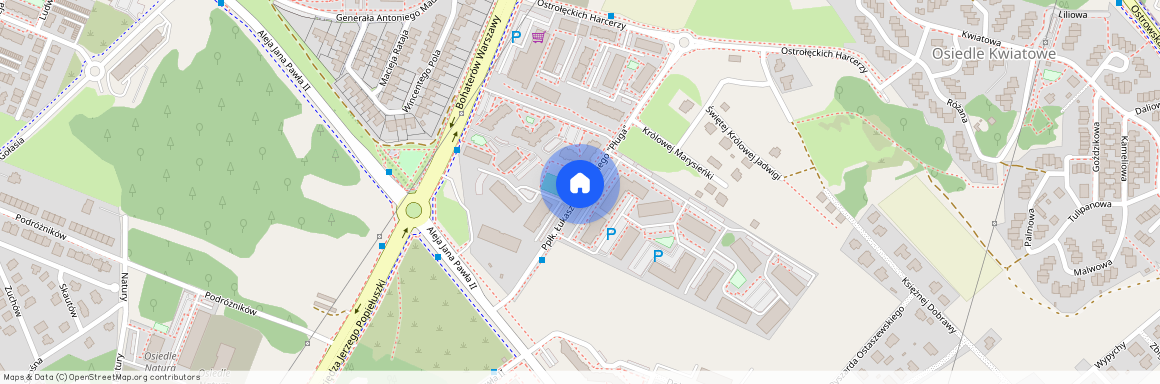 Ostrołęka, ppłk., Łukasza, Cieplińskiego, "Pługa"