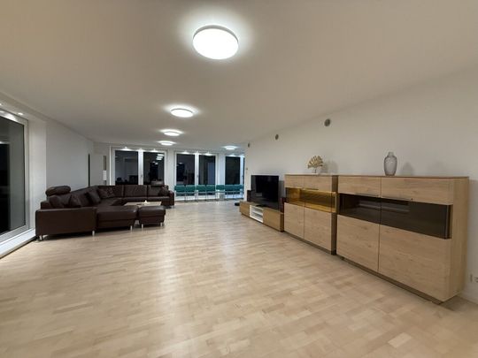 Exclusive 300 m² penthouse apartment with private elevator, access to Wallisellen - Foto 1