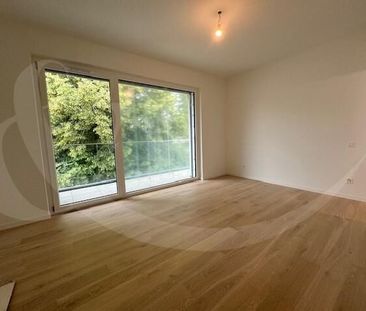 18B Ch. du Ruisseau, Villa contemporaine individuelle neuve de 6.5 ... - Photo 3