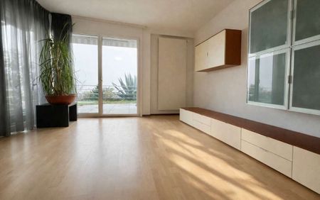 Apartment with lake view and garden terrace - Photo 4