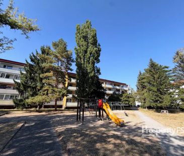 Pronájem zrekonstruovaného bytu 3+1 62 m - Fotografie 4