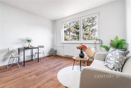 Pronájem atraktivního bytu 1+1, 35 m - Fotografie 5