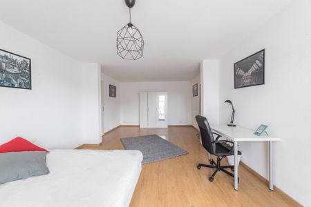 Strasbourg - Bartholdi - Chambre 1 - Photo 4