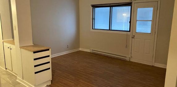 4.5 près de la station de métro Honoré-Beaugrand - Photo 2