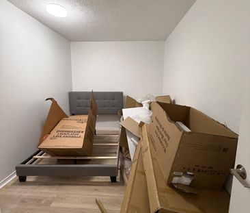 395 Chapel St, Ottawa, ON K1N 7Z5, Canada - Photo 5