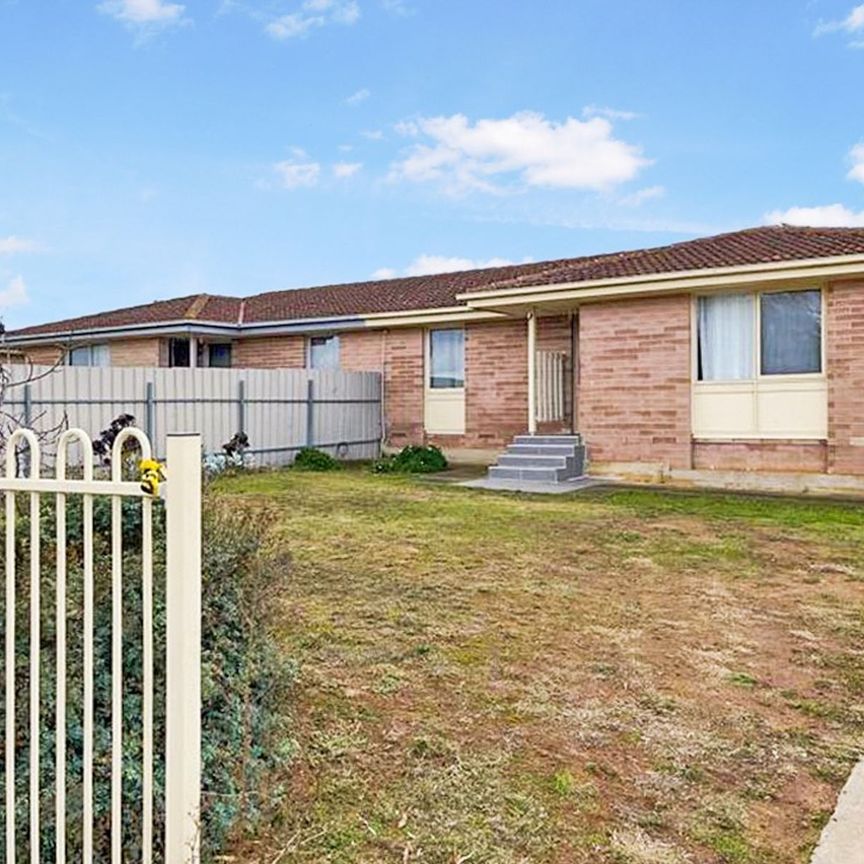 Affordable Living in a Convenient Location - Photo 2