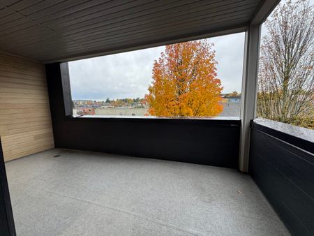 Brand New Junior Two Bedroom Condo - Photo 2