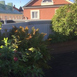 Klostergatan 35 - Photo 3