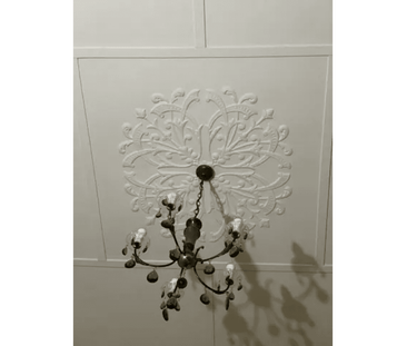 10 Raglan Street N, Ballarat Central, Vic 3350 - Photo 6 | Rentumo