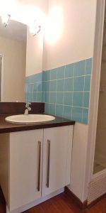 Location Appartement 2 pièces 52m² LILLE 59000 - Photo 3