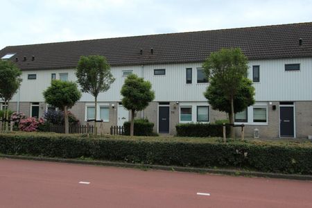 Mastgatpad 26 - Foto 2