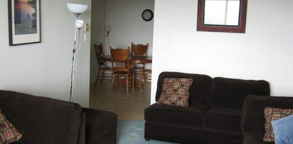 fully furnished 3 BR apt - Photo 2