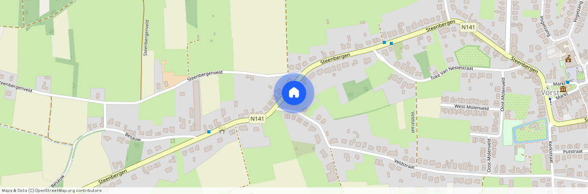 Steenbergen 85, 2430 Vorst