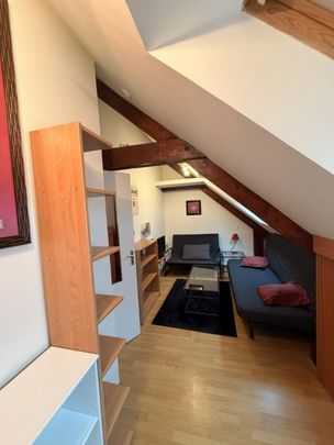 Location Appartement 1 pièce Meublé 12m² TOURS 37000 - Photo 1