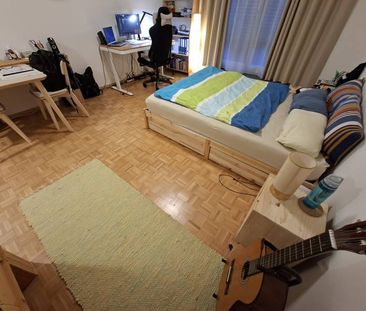 3 Zimmer, 40 m², 1. Stock - Photo 2