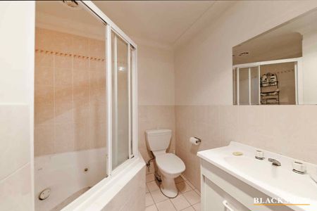 One Bedroom Apartment in Central Park Complex - Photo 4