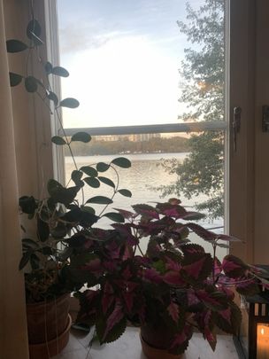 Bromma - 2rok - 12mån - 17.825kr/mån - Photo 1