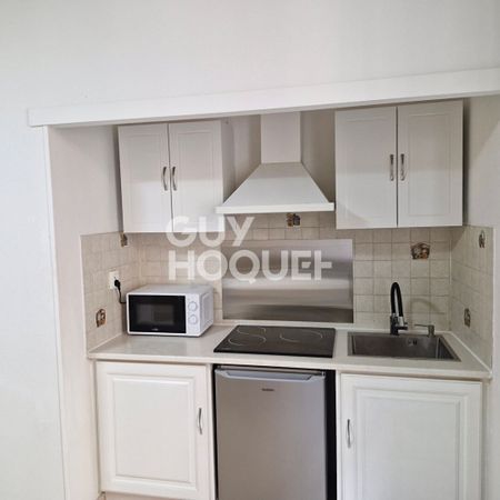 Location Appartement 1 pièce 32m² - Photo 4