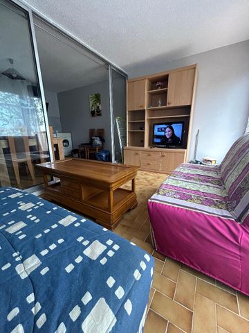 Appartement 2 pièces à louer à SAINT-CYPRIEN - Photo 4