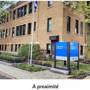 MEUBLÉ ou non meublé, 4 1/2 rénové, propre, centre-ville, UQTR, CÉGEP, commodités, 1100$ - Photo 4