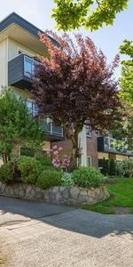 1br - 667 sf KITSILANO - 1 BR + 1 BATH Pet friendly - Photo 3