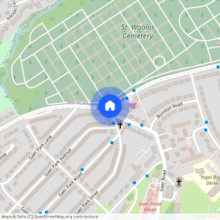 Gaer Park Drive, Newport, NP20 3NL, South Wales