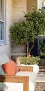 Richgrove Village - Photo 4