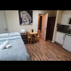 Studio Flat, Brondesbury Park/ Willesden Green, NW6 - Photo 2