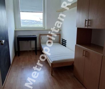 Zrekonštruovaný a zariadený 3 izbový byt s loggiou na začiatku Petr... - Photo 3