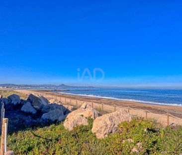 Alicante, Valencian Community 03700 - Photo 5