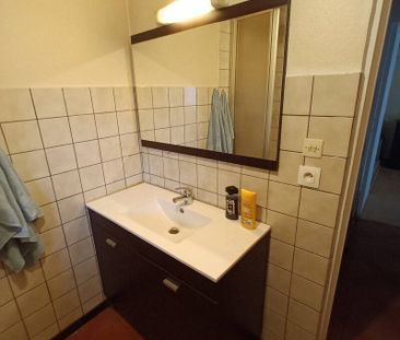 Location appartement 1 pièce 30.64 m² à Ottmarsheim (68490) - Photo 5