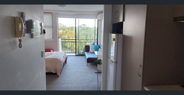 Level 5 lake and hinterland views. A quiet fully furnished studio with air conditioning, washing machine and free Wifi. - Photo 1
