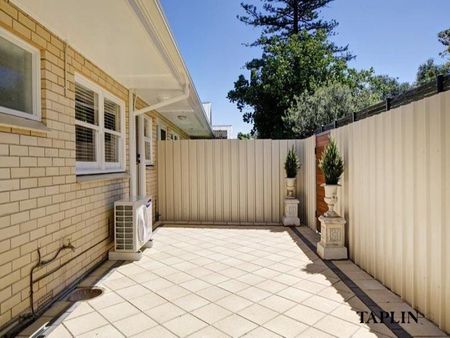 3/15 Brigalow Avenue, Kensington Gardens - Photo 2