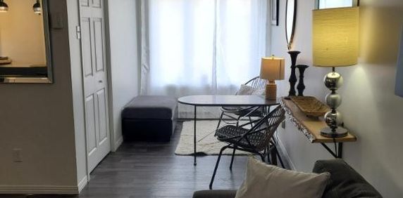 3,5 Beau frais peinturé et meublé de A a Z terrasse sur le toit - Photo 2