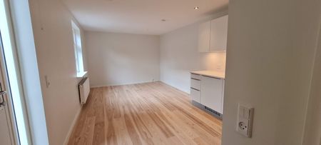 Skøn, renoveret lejlighed i centrum - Photo 4